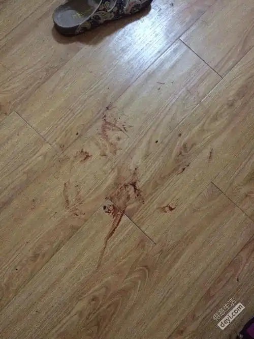 一回家地上有一滩血好恐怖