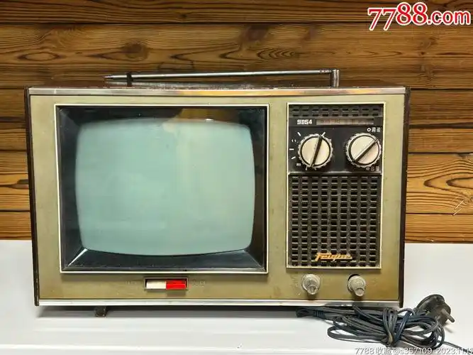 上海飞跃牌黑白电视收音两用机