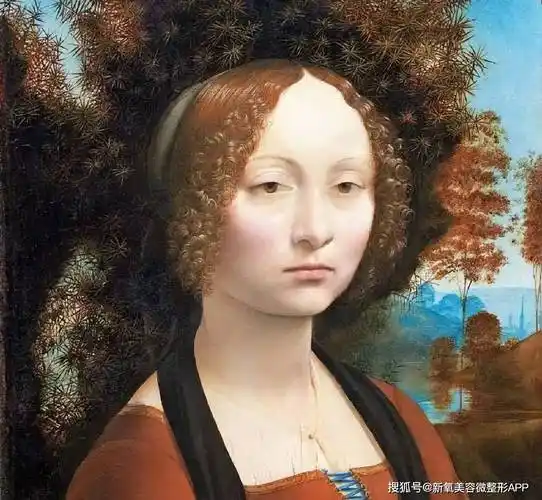 关于蒙娜丽莎的由来,各个行业的专家凭借自己的洞察