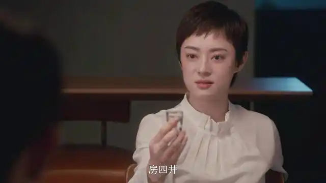 《安家》:房似锦,房四井,家庭终是原罪