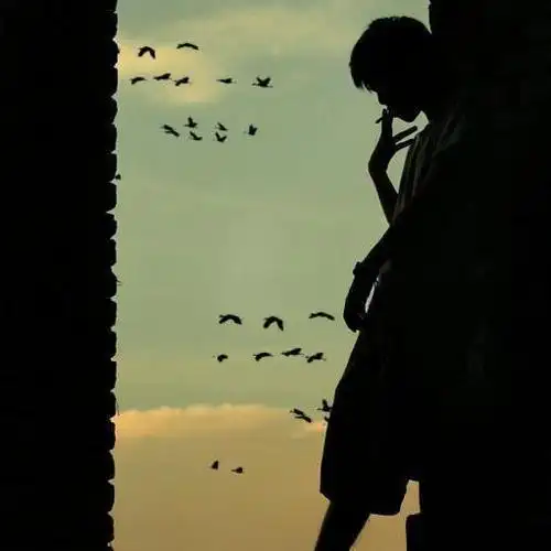 孤单是一种境界