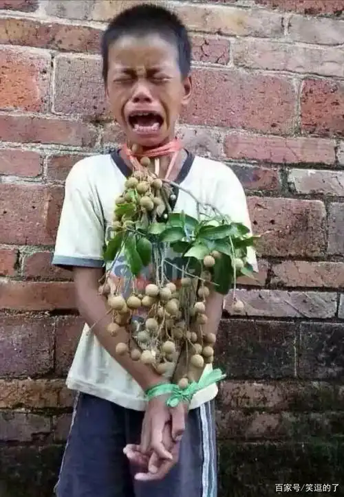 像不像小时候偷别人家水果被逮到的后果