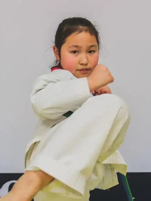 正人跆拳道2017年度"正人之星"评选活动