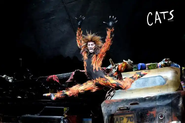 原版音乐剧《猫》二轮3月12日全网开售__凤凰网