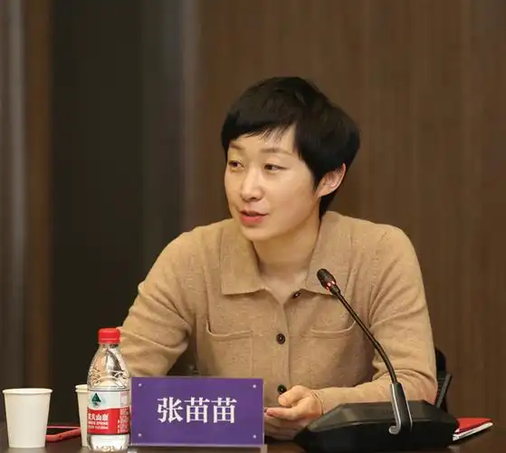 文化和旅游部艺术司文学美术处副处长张苗苗发言文化和旅游部艺术司