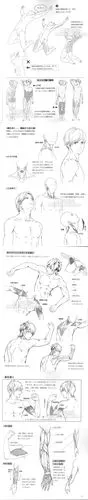 855 漫画男子 肌肉与形体动态 人体结构绘画方法速写临摹参考素材