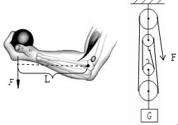 (2010萝岗区一模)(1)如图所示,人的手臂相当于一个杠杆,它的支点在o点