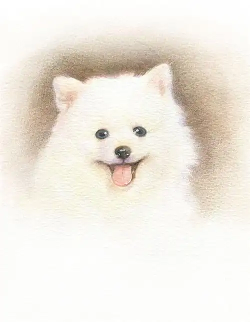 彩铅手绘动物可爱图片大全等到风景都看透