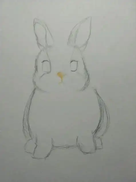 动物简笔画小动物素描