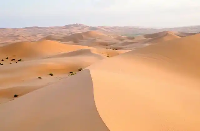 青海男子救下受伤骆驼,将其治好后放生,2年后沙漠迷路骆驼来相助