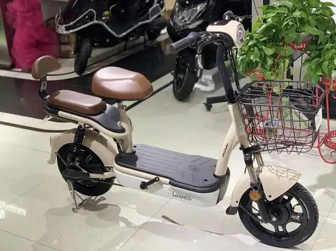 电动自行车可上牌价格|电动自行车可上牌销量|电动自行车可上牌品牌