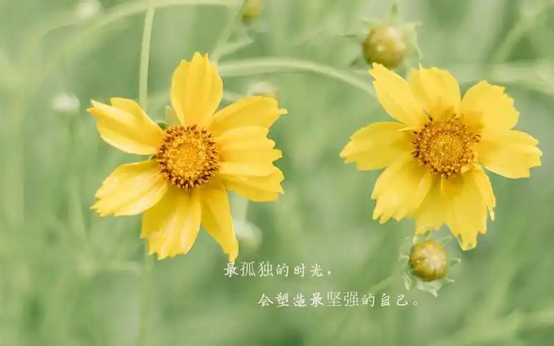 经典励志说说致自己带字配图