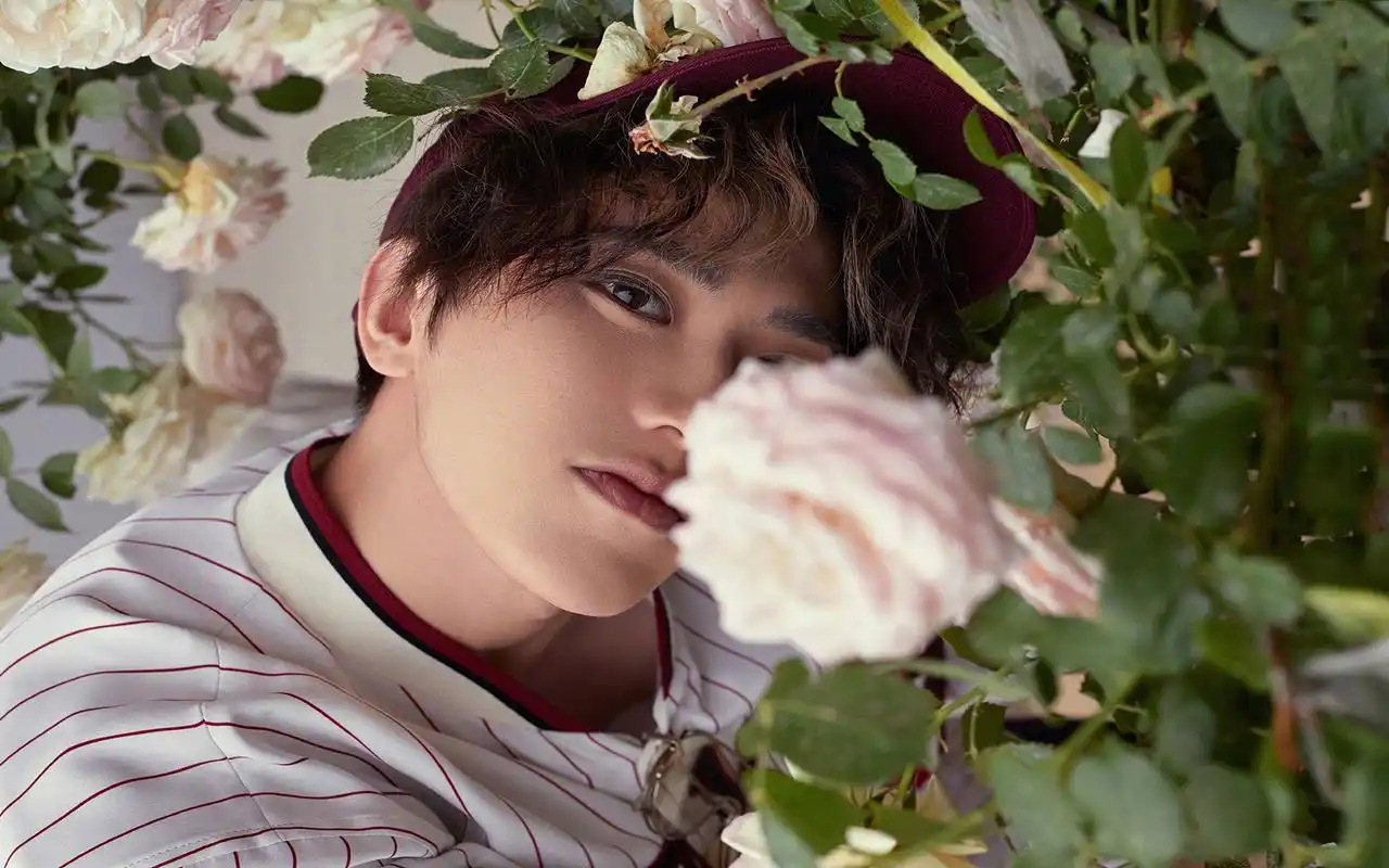 蔡徐坤时尚帅气写真图片桌面壁纸