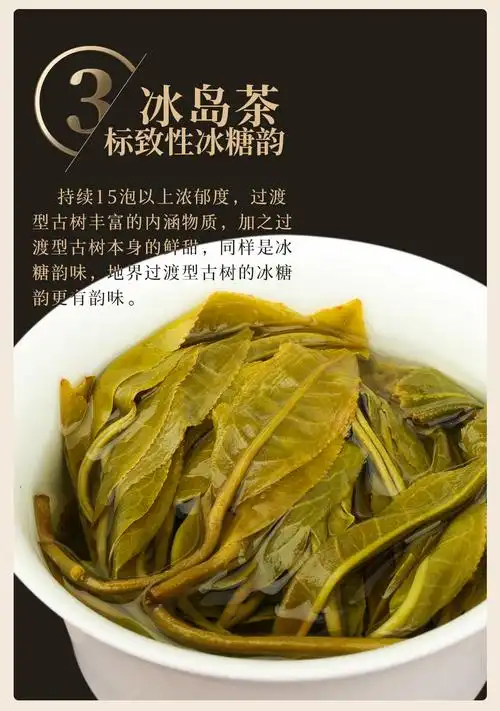 普洱茶冰岛生茶 生饼 地界老寨整提 2020云南古树纯料整提5片1000克