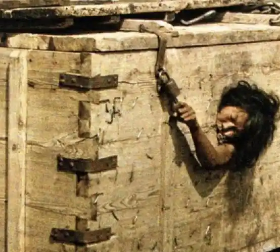 晚清老照片:目光呆滞的边疆女子,气宇轩昂的朝廷大臣!_清朝_年间_木箱