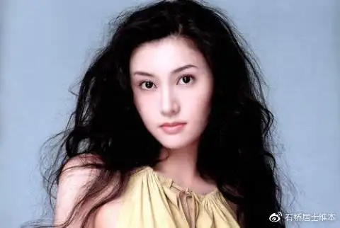 李嘉欣离开大刘后又出手却差点栽在天上人间许晋亨是归宿