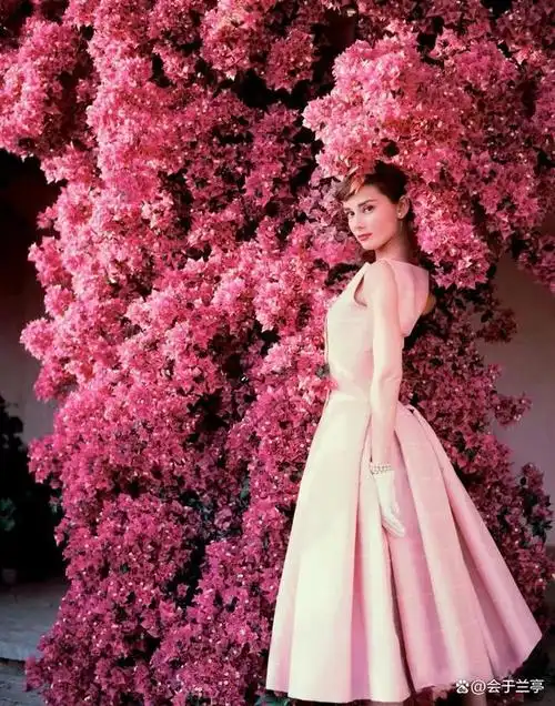 天使永在——心中的女神奥黛丽·赫本