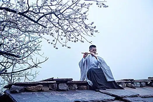 剧情,山村,古装,男人,屋顶,吹笛,杏花