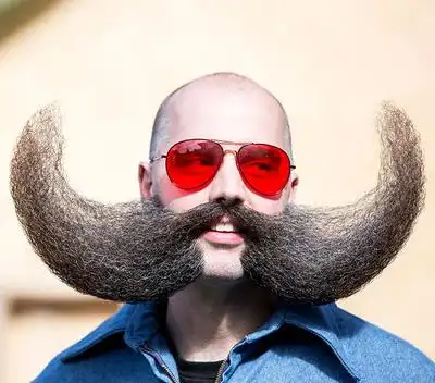 为人类航空事业做出过贡献的10个小可爱