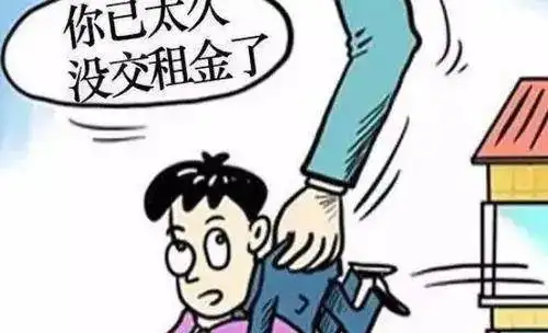 凝聚法治力量优化营商环境搬走了不交房租法院判了