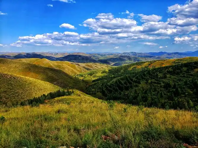 其实沽源也是一个很美的地方,哪里一年四季都有风景,有天路,五花草甸