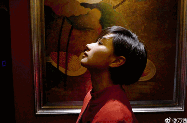 回顾不婚族万茜从不炒作嫁普通丈夫40岁高龄为小丈夫生孩子