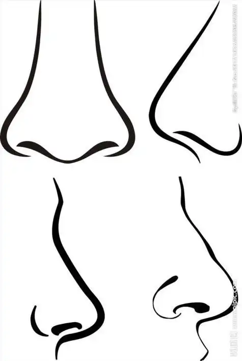 人物鼻子简笔画步骤