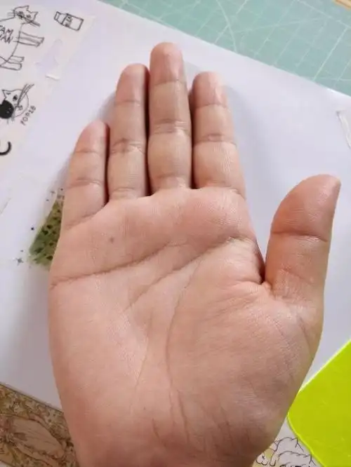 手相实例:手有三奇纹,福寿禄三全,幸福有钱会长寿