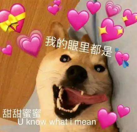 我的眼里都是小心心 甜甜蜜蜜的(汪星人) - 我的眼里都是你~满屏小心