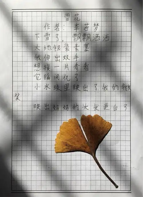 雪落成诗 诗情盛雪——五一班学生创编儿童诗优秀作品展示