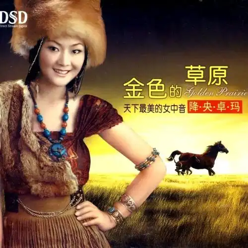 西海情歌_降央卓玛_高音质在线试听_西海情歌歌词|歌曲下载_酷狗音乐