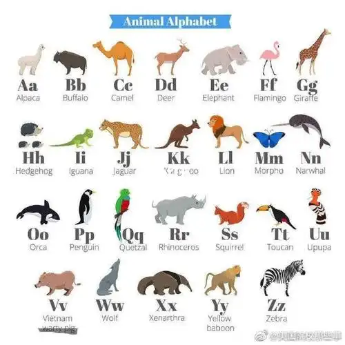 关于动物的英文单词