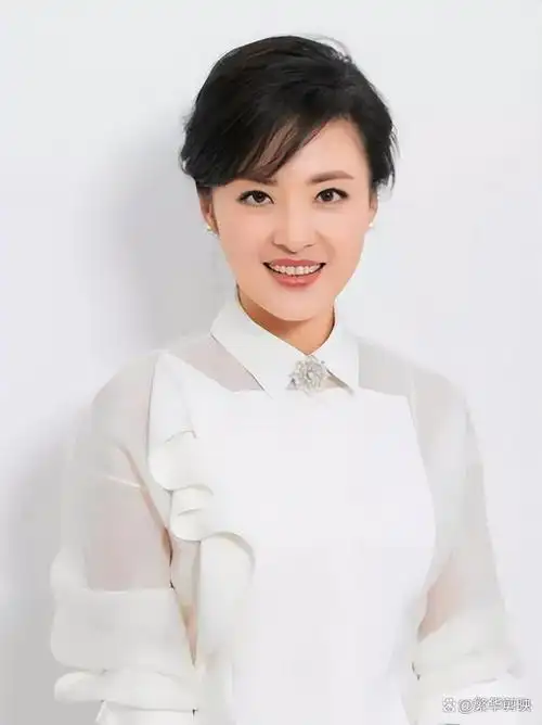 央视十大美女主持人:传承与进化的光辉篇章