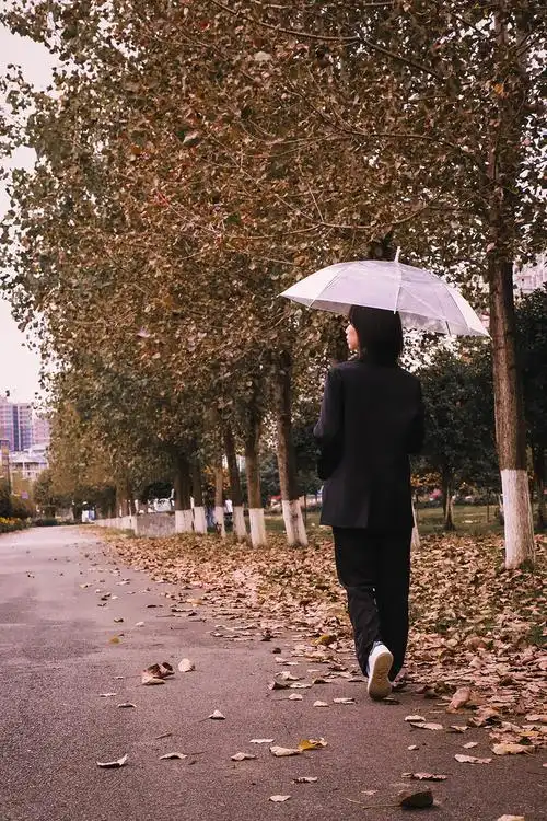 秋风落叶飘零萧瑟的风格照片