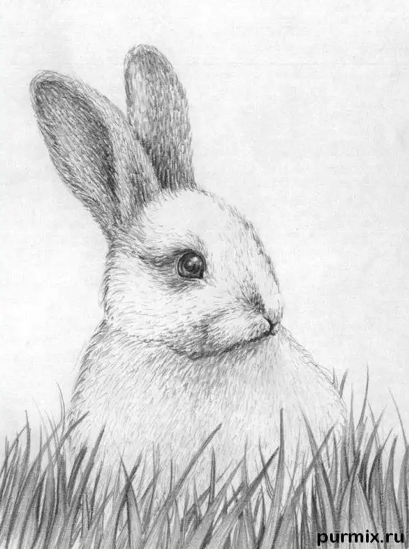 非常漂亮的素描图片(19张)