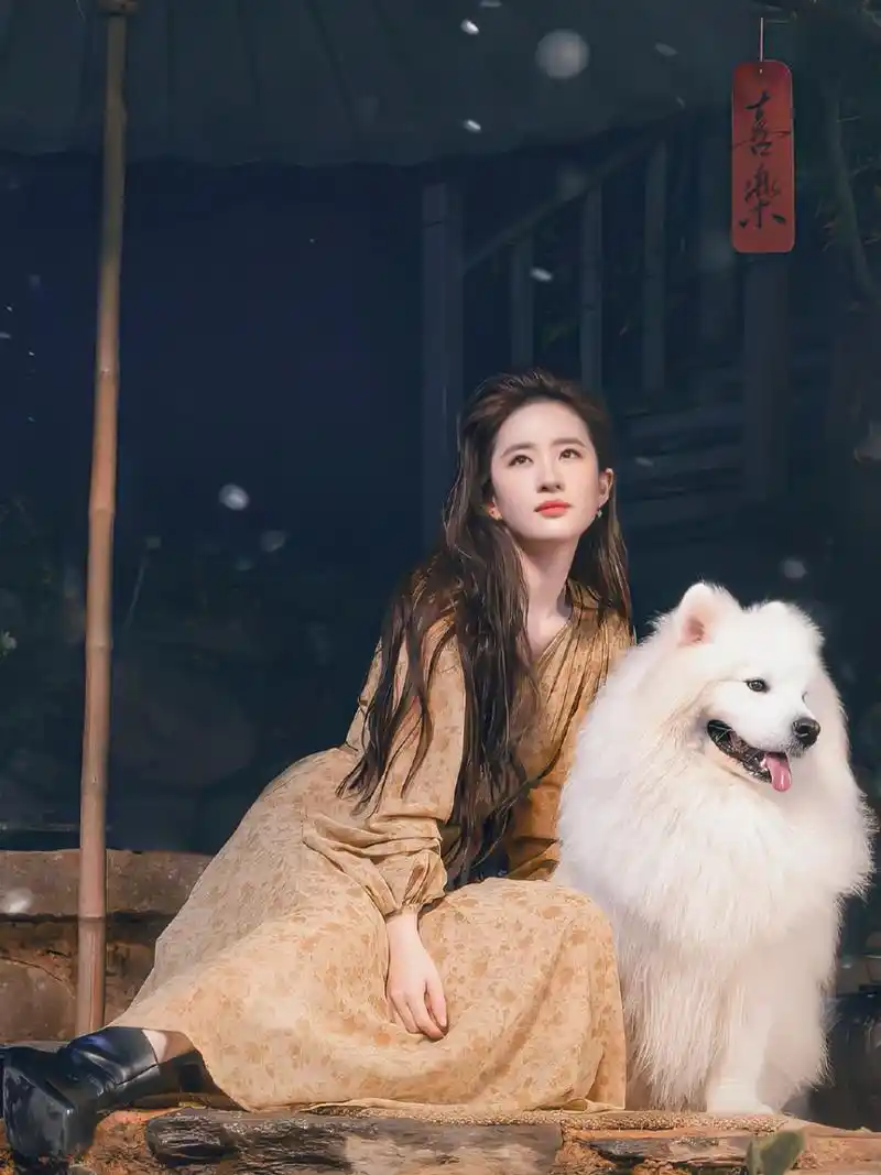 刘亦菲玫瑰高马尾造型