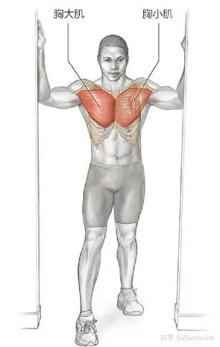 胸肌拉伸