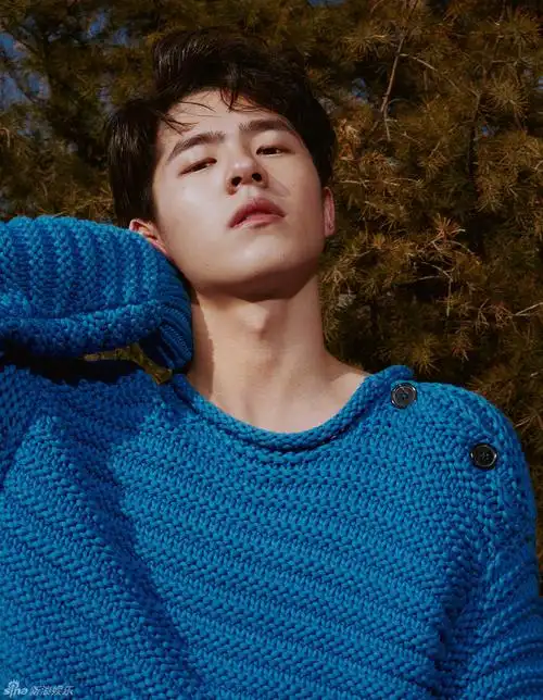 组图刘昊然最新大片曝光酷感十足再升级