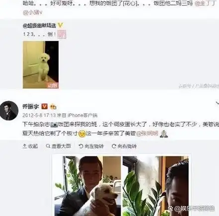 素颜女神王丽坤与他同居8年最好的青春给了他他却与别人结婚