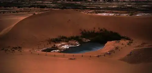 沙漠泉眼