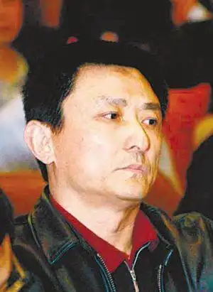 叶京回应被打事件 微博致歉秦海璐赵宝刚(图)