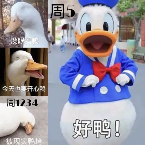 全国处暑吃鸭流派大混战哪里鸭菜的姿势让你原味觉醒