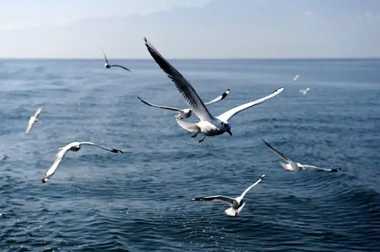 用写作记录人生的成长