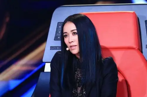 那英回归好声音