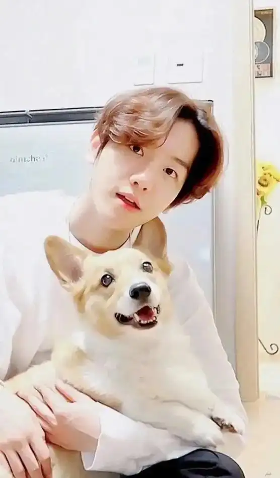 边伯贤女友视角手机壁纸!