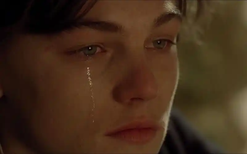 【莱昂纳多】心之全蚀 | cradles |小李子cut.