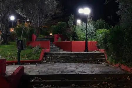 在一个安静的夜晚,城市公园的植物和台阶被路灯照亮. 夜间摄影.照片