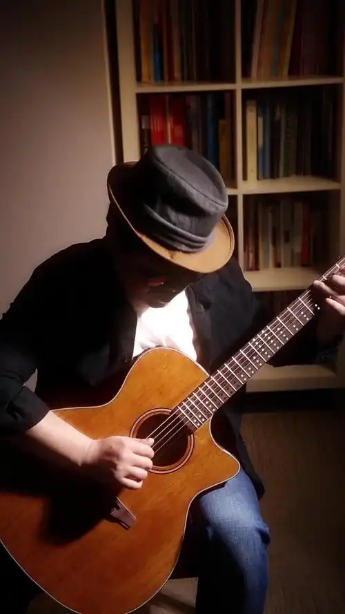 太阳花(sunflower)指弹