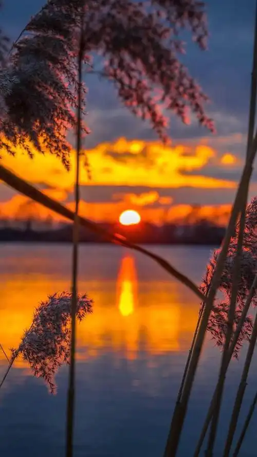 手机壁纸——关于黄昏的场景图片,看上去好温柔啊!