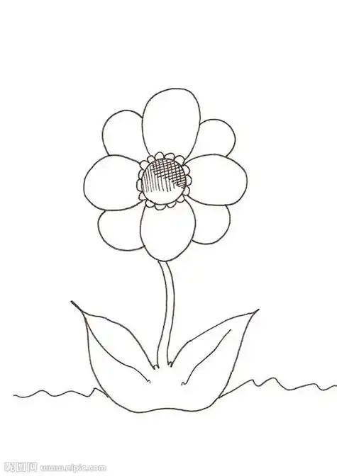 小花的简笔画小花的简笔画简单漂亮